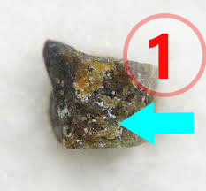 Texture comparative 17-3-1 www.meteorite-mars.com