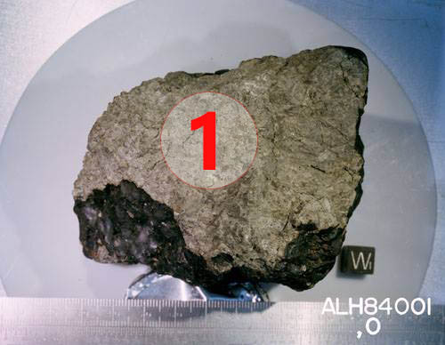 Texture comparative n 20-1-1 meteorite-mars.com meteorite chizé de mars