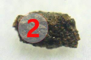 Texture comparative n 20-2-2 meteorite-mars.com meteorite chizé de mars
