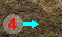 Texture comparative n21-2-4 meteorite-mars.com