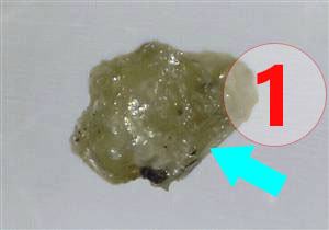 Texture comparative n21-3-1 meteorite-mars.com
